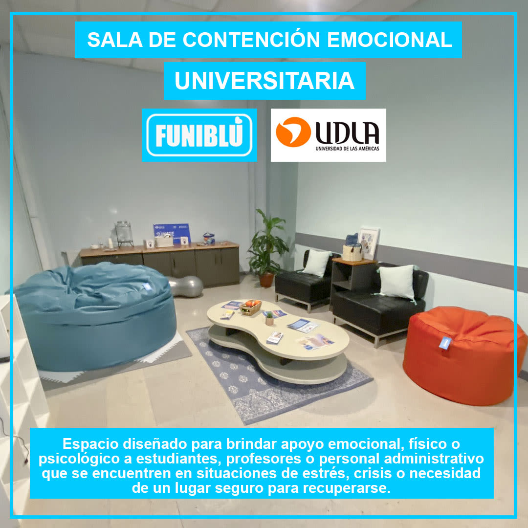 PUFFS PARA SALA DE CONTENCION ESTUDIANTIL — UNIVERSIDAD UDLA6