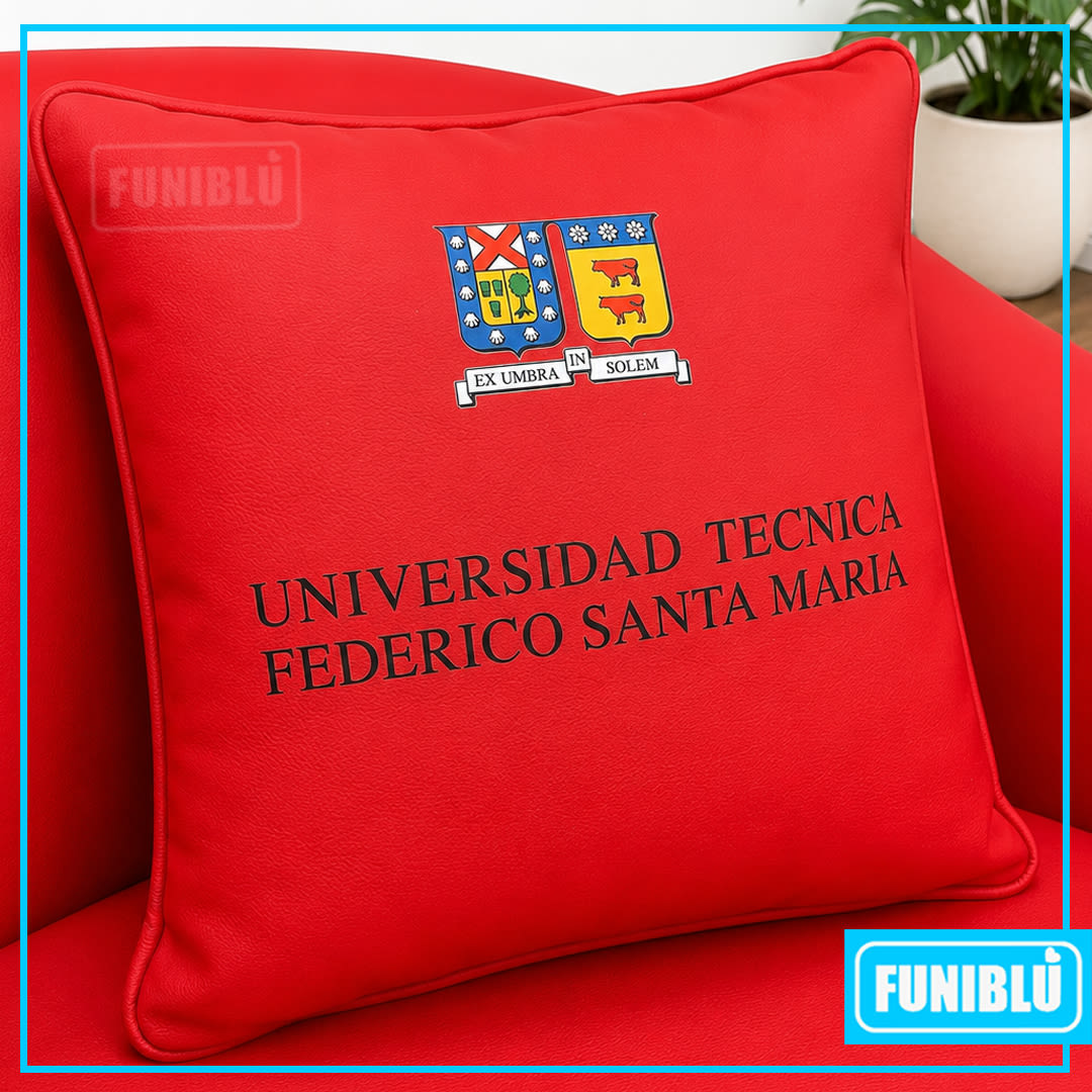 PUFF Y COJINES - USM - UNIVERSIDAD TÉCNICA FEDERICO SANTA MARIA.1