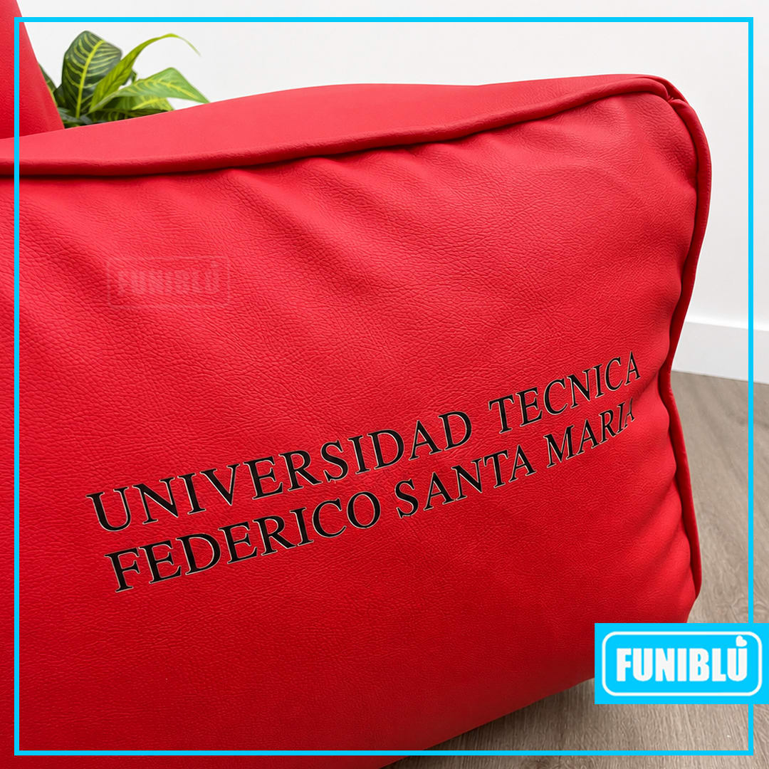 PUFF Y COJINES - USM - UNIVERSIDAD TÉCNICA FEDERICO SANTA MARIA.11