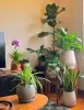title