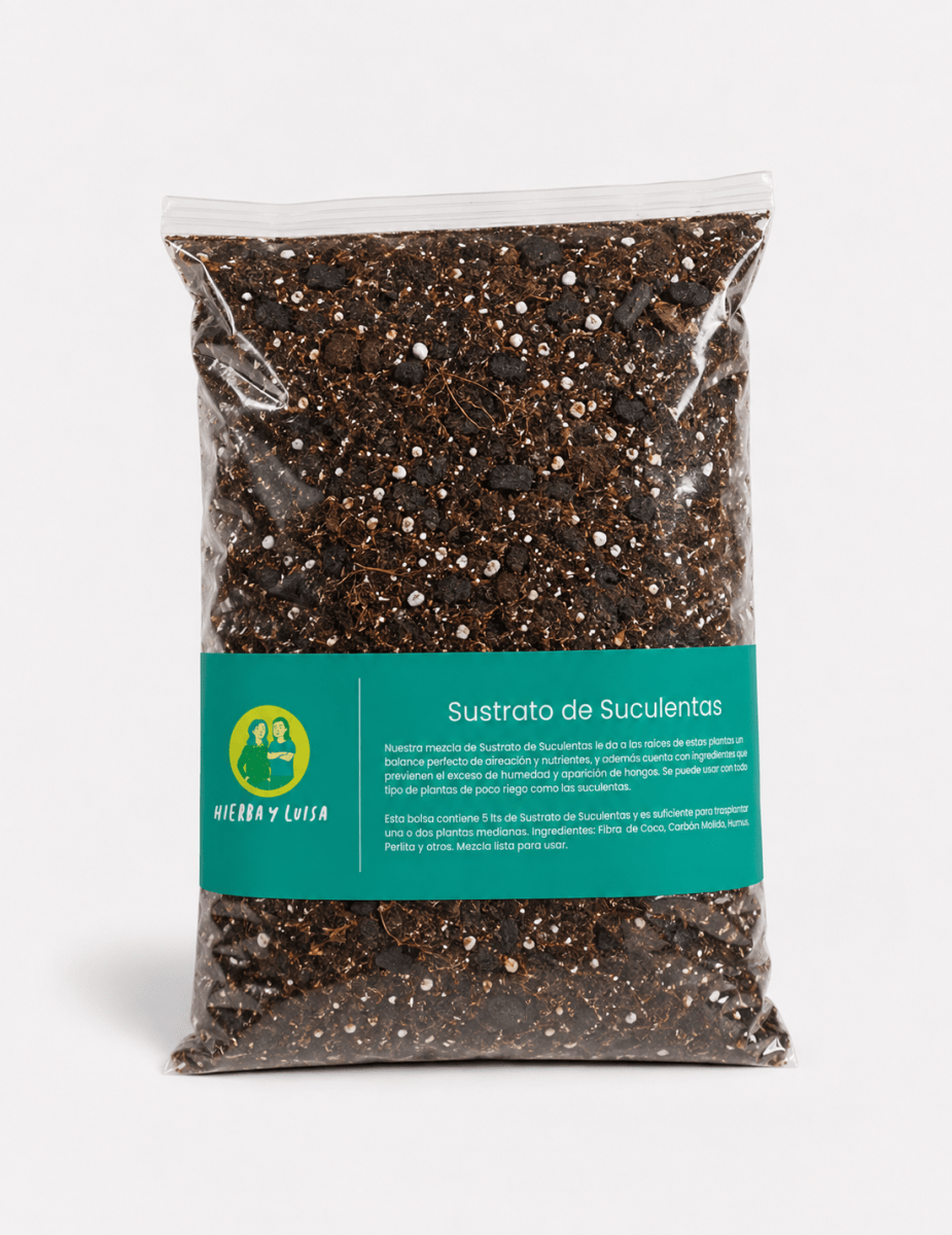 Sustrato Premium de Suculentas3