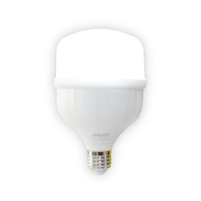Foco LED botella luz blanca 30W Opalux1