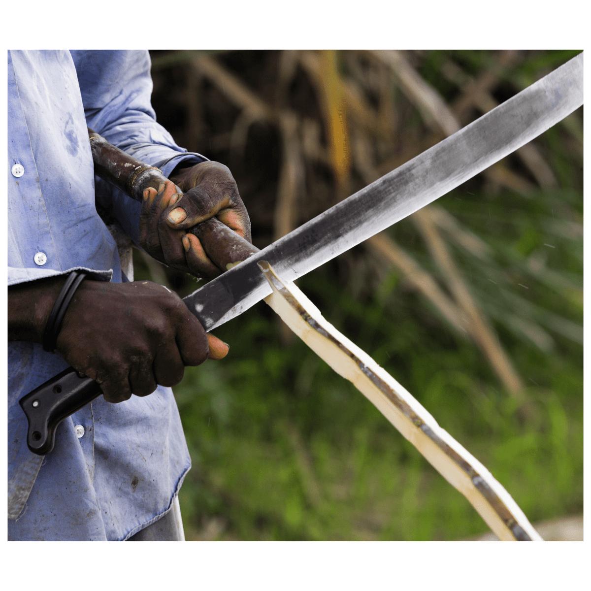 Machete sable 22