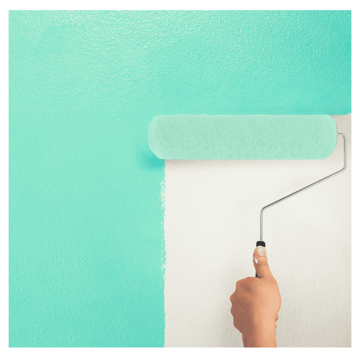 Rodillo para pintar 12