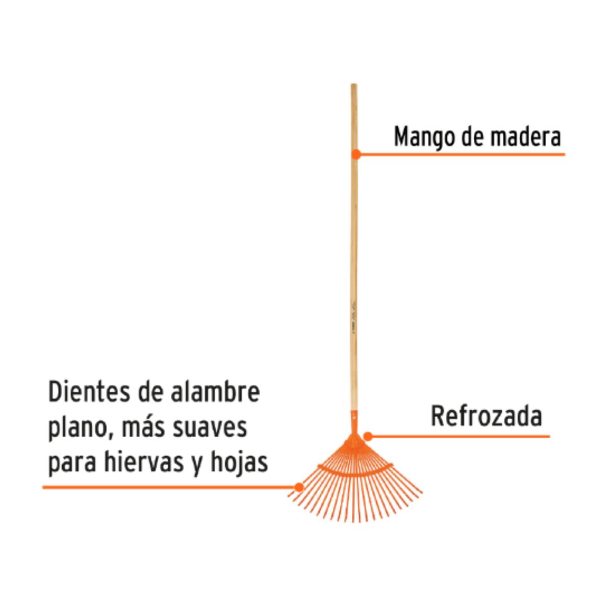 Escoba metálica curva con 22 dientes planos, reforzada3