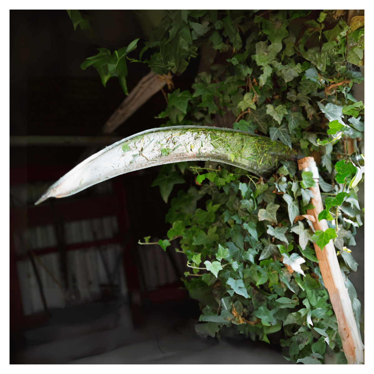 Guadaña tipo española de 26´´, Truper4