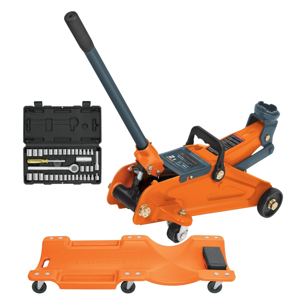 Gata tipo Lagarto 2t +Cama de Plastico 40