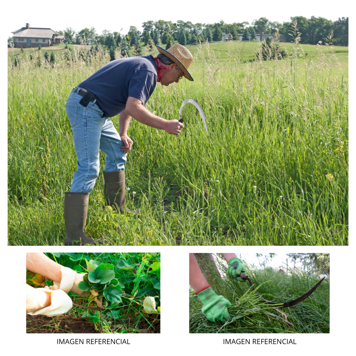 Hoz dentada # 0. 16''. truper4