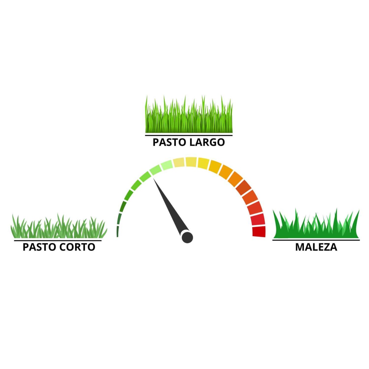 Blíster con 78 m de hilo 2.4 mm para desmalezadora Truper3