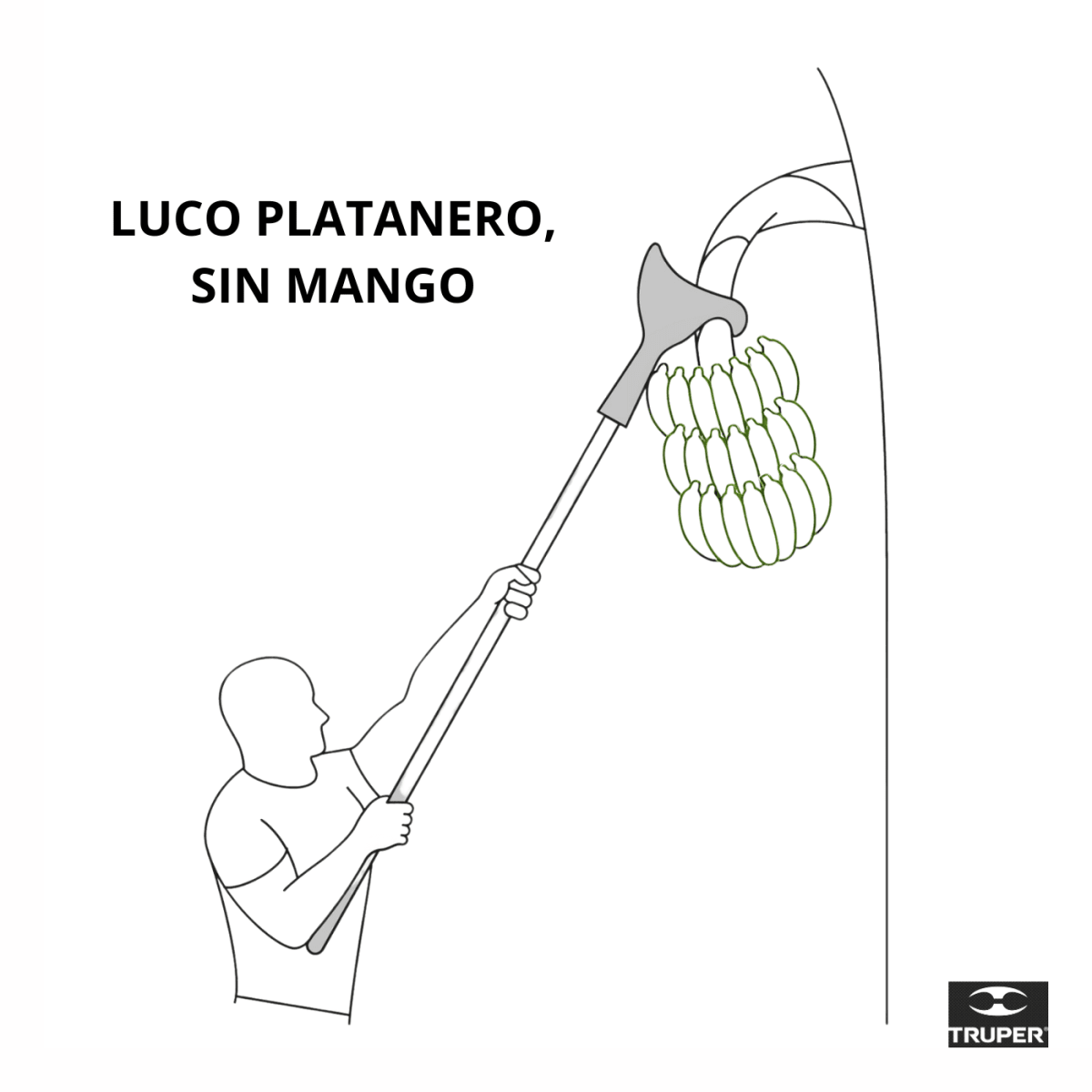 Cortador podador de plátano Truper4