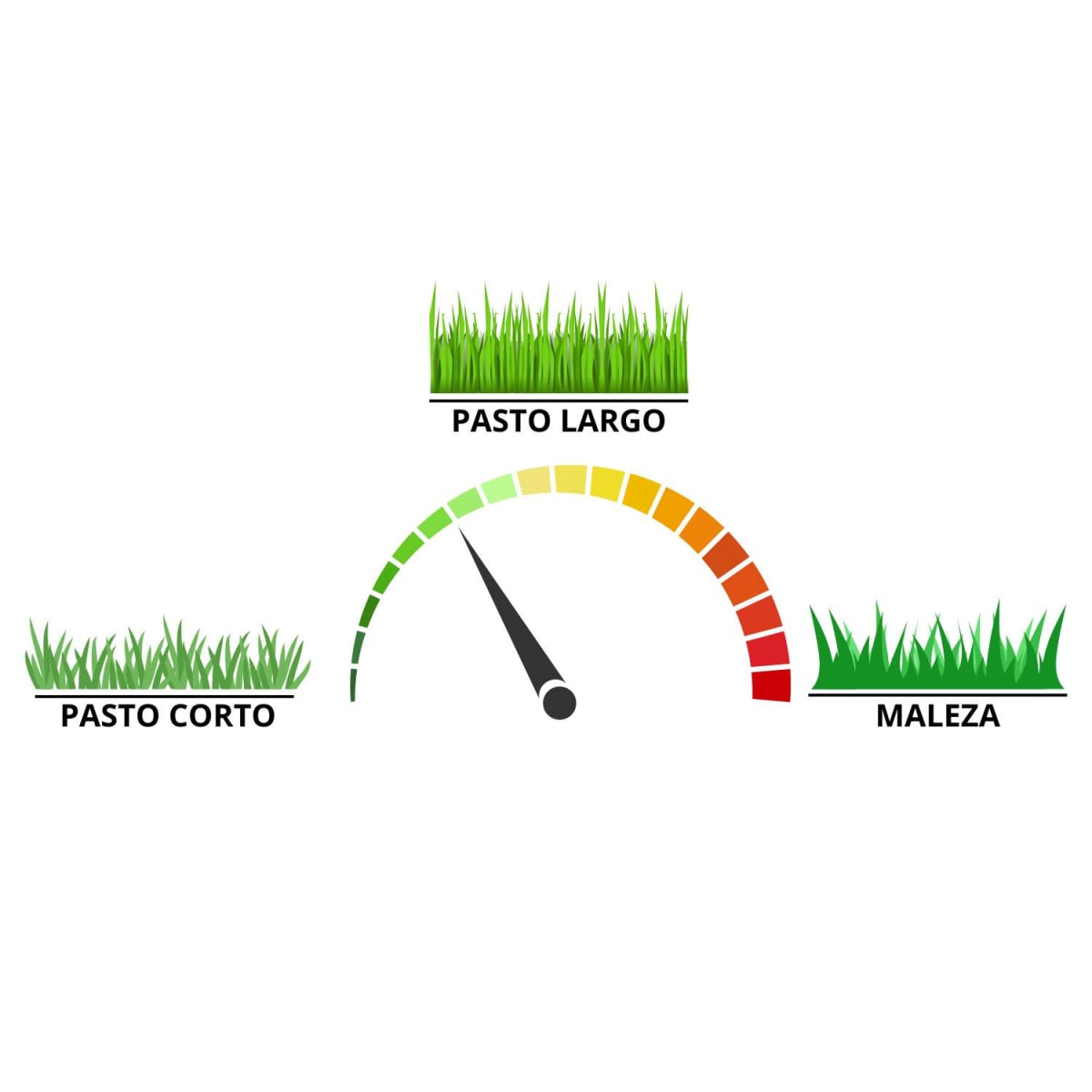 Carrete con 437 m de hilo 2.4 mm para desmalezadora Truper3