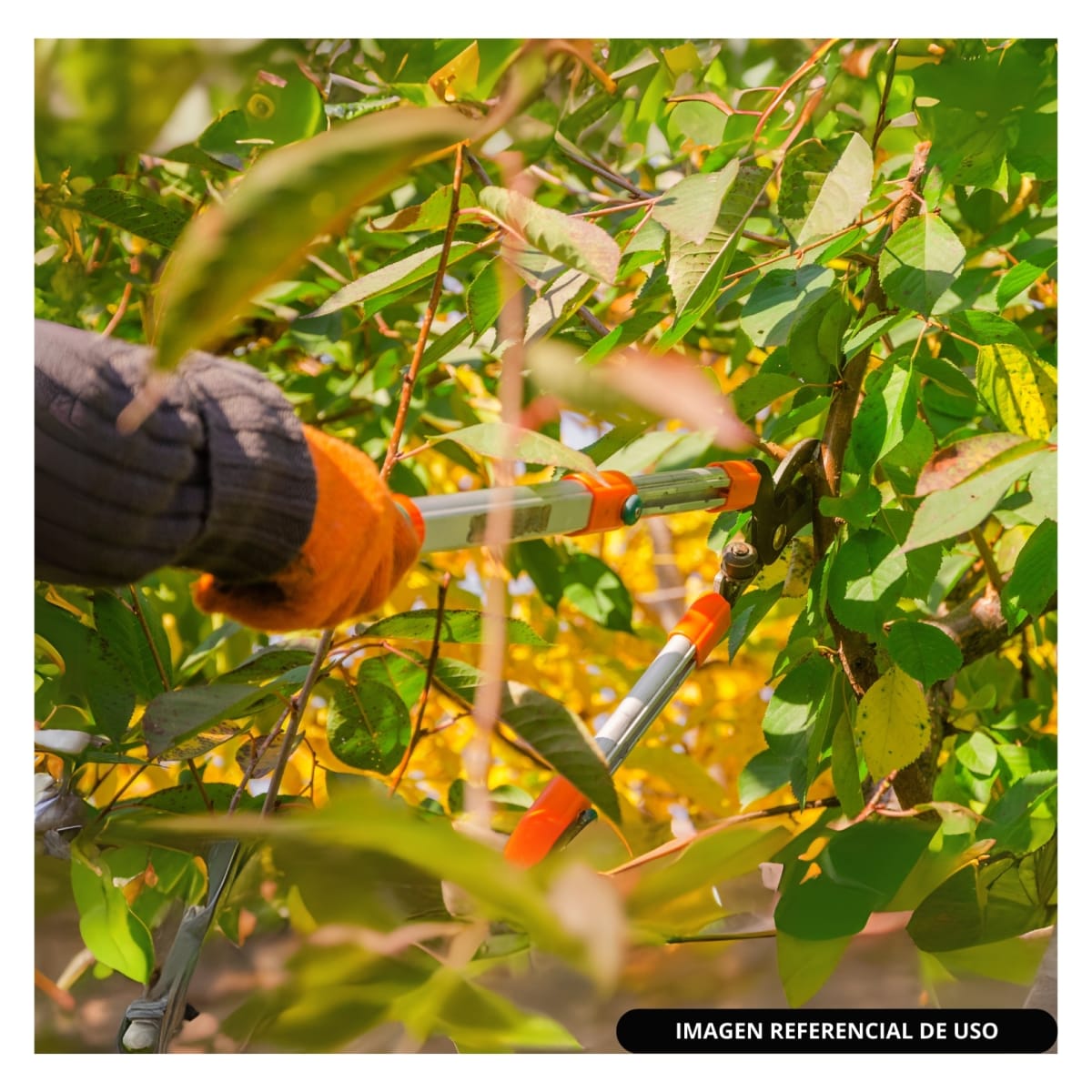 Tijera para ramas 70cm mango Fibra de vidrio  Truper4