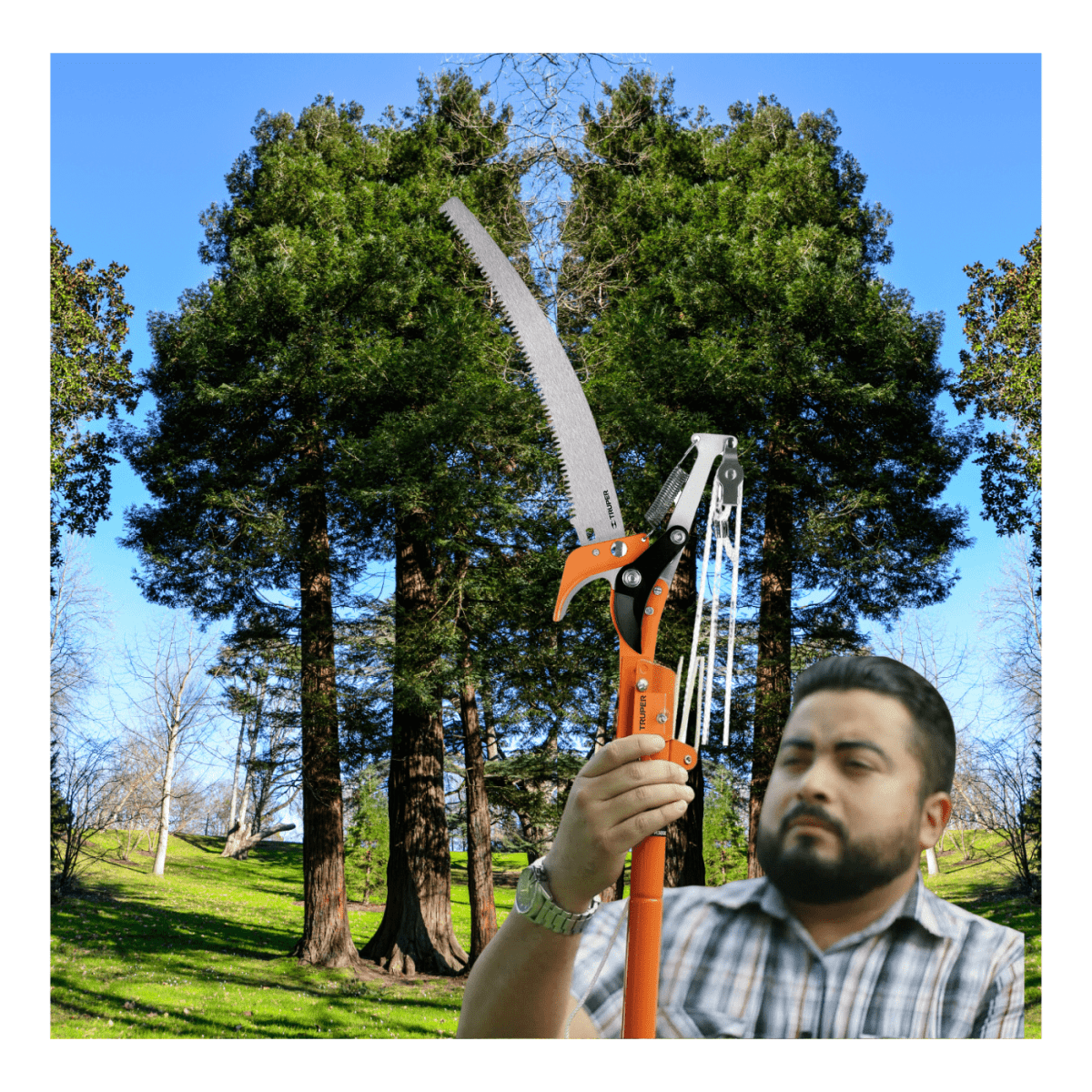 Tijera de poda cortador de ramas altas 2.40 m Truper7