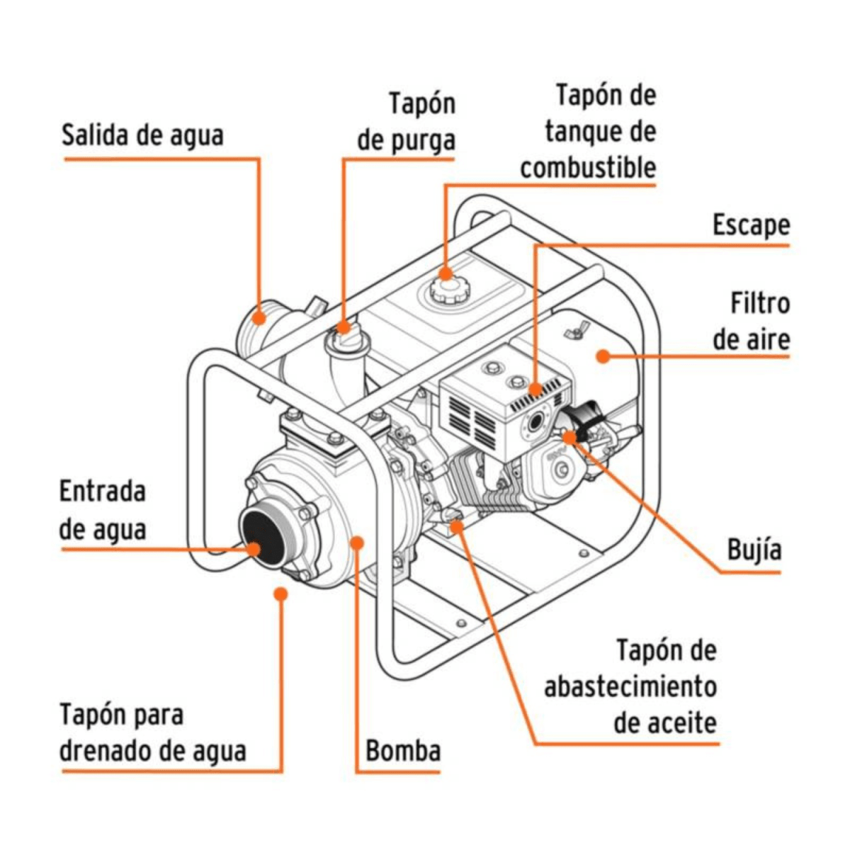 Motobomba autocebante 4