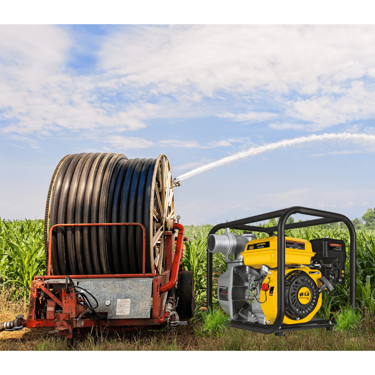 Motobomba autocebante 2