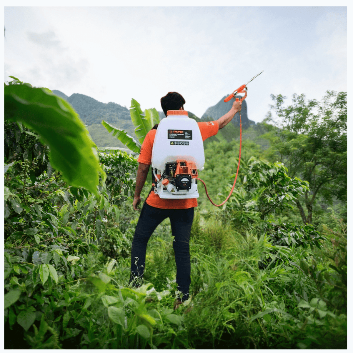 Fumigador a gasolina 4 tiempos Truper3