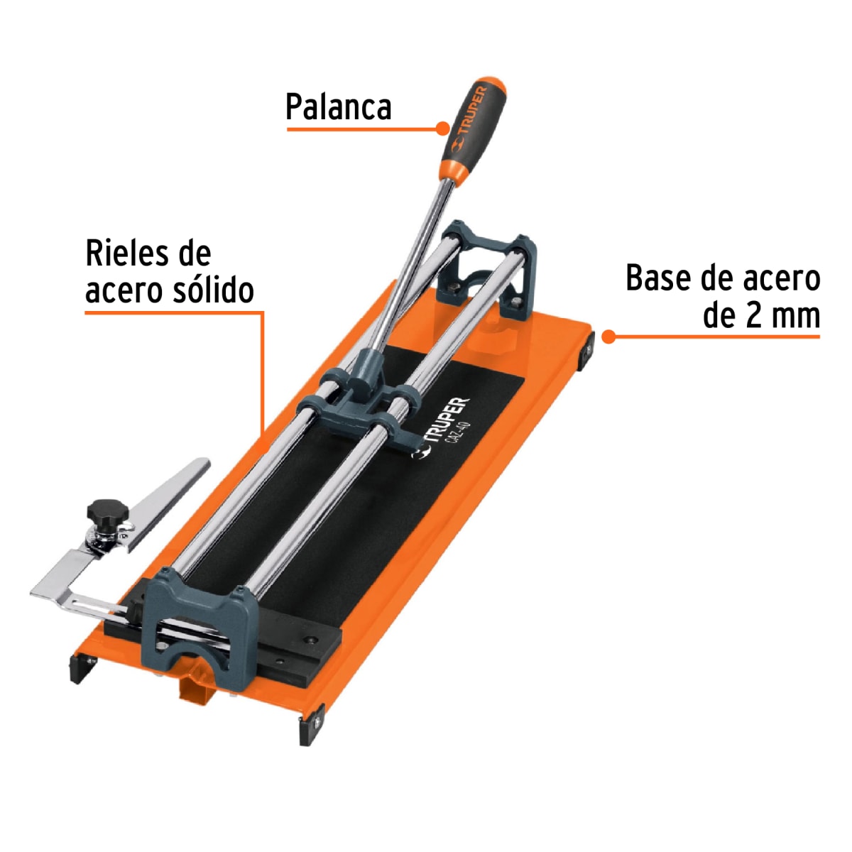 Cortapisos de mayólica de 16