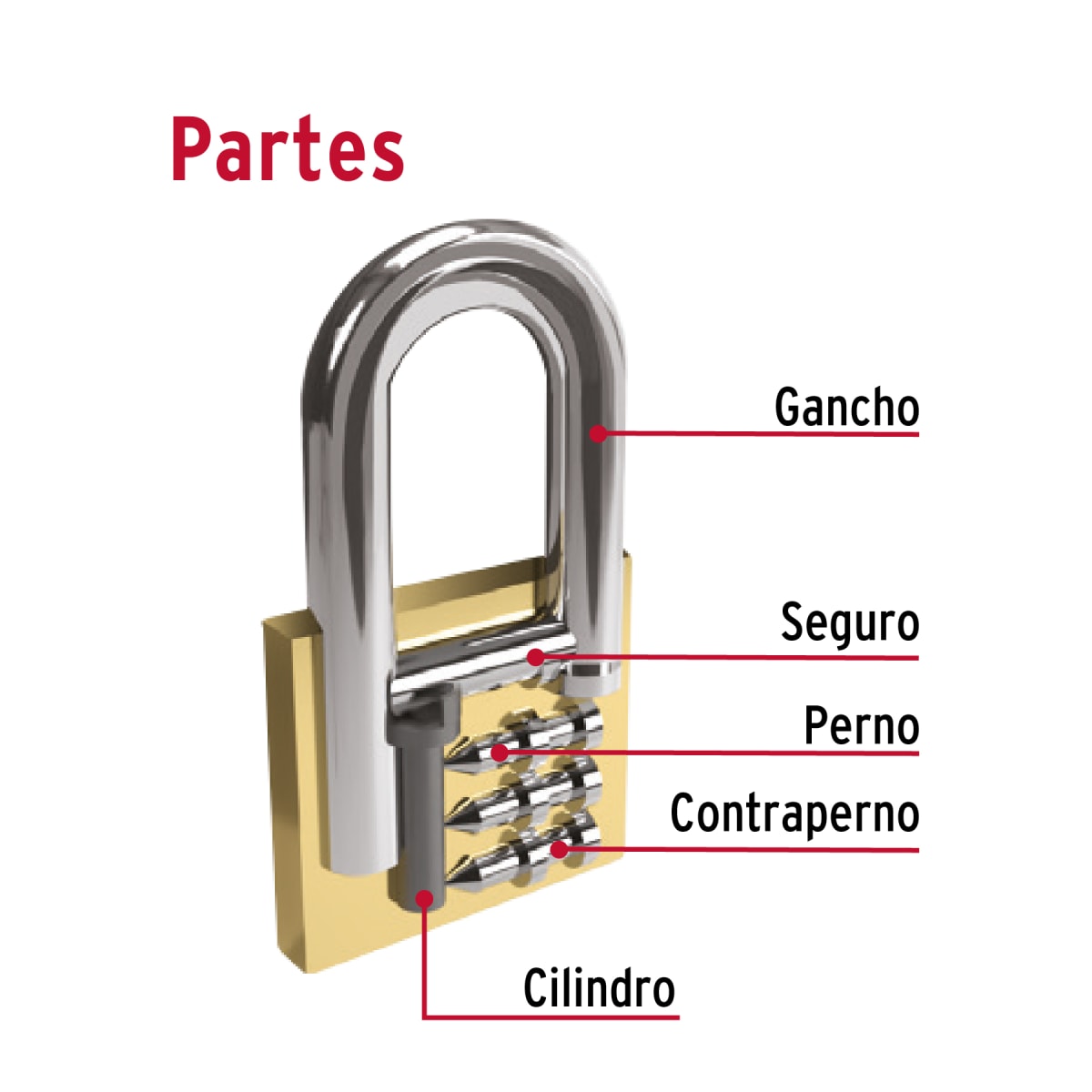 Candado de hierro color latón 50 mm arco largo, caja, Basic Hermex5