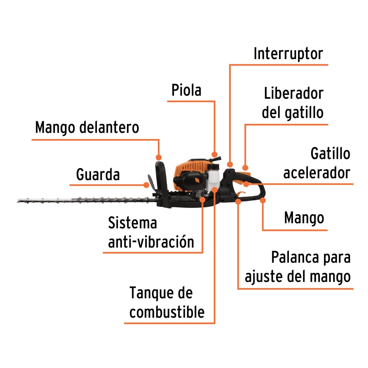 Cortasetos con motor a gasolina 26 cc profesional Truper6