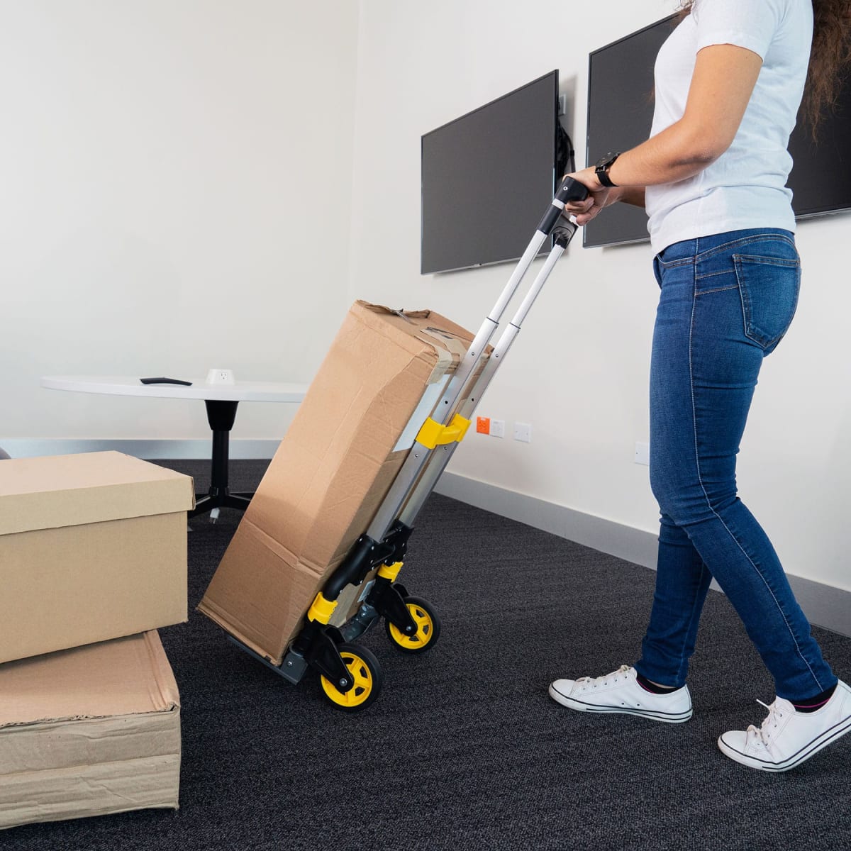 Carreta de Carga Plegable 100 Kg Pretul13