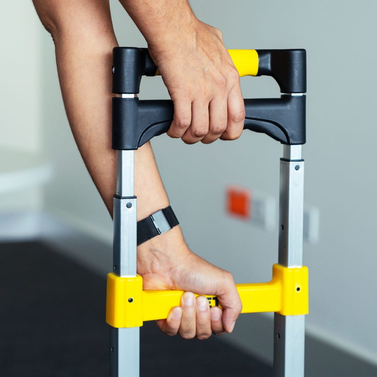 Carreta de Carga Plegable 100 Kg Pretul11