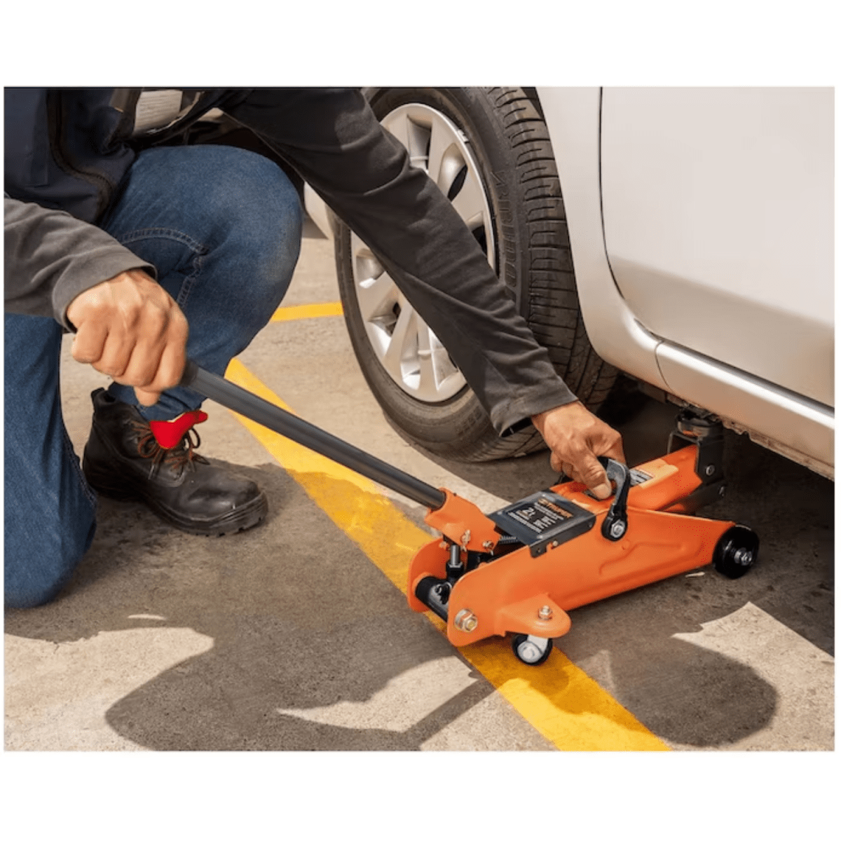 Gata lagarto 2TN + cama de plastico 40