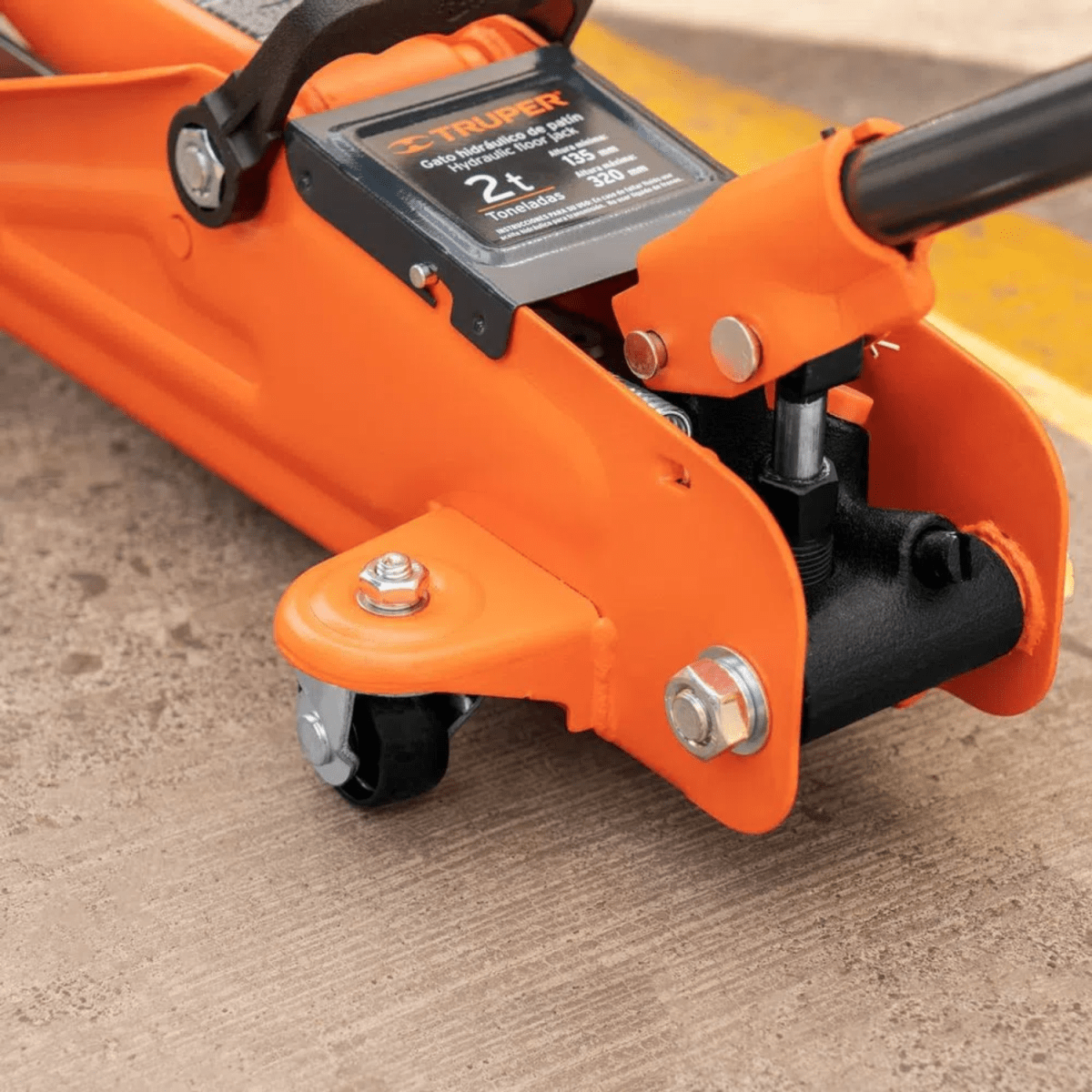 Gata lagarto 2TN + cama de plastico 40