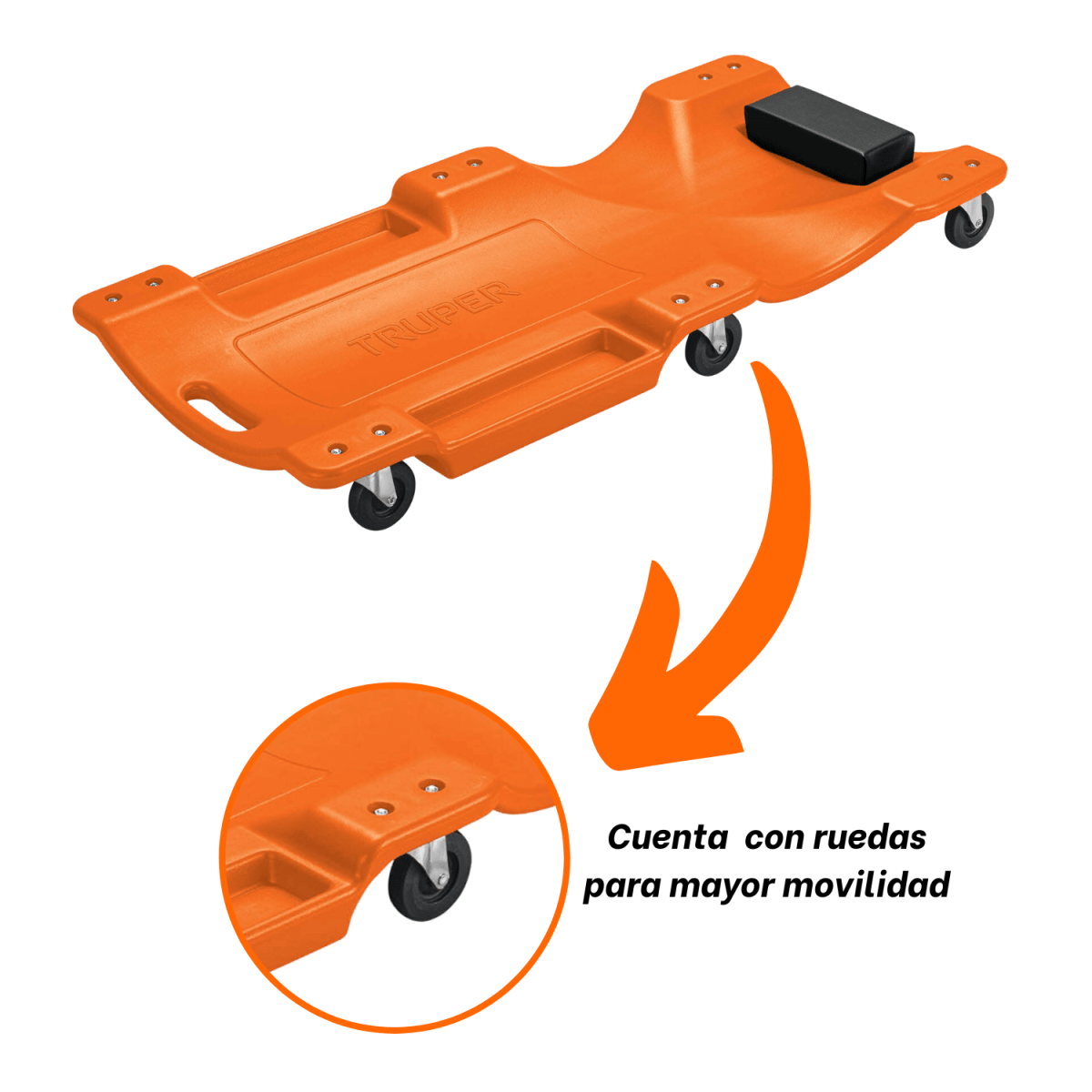 Gata lagarto 2TN + cama de plastico 40