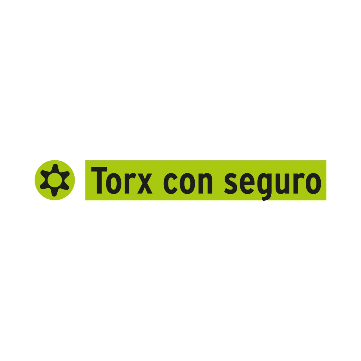 Estuche con 5 puntas torx T40 con seguro largo 2´´, Expert Truper2