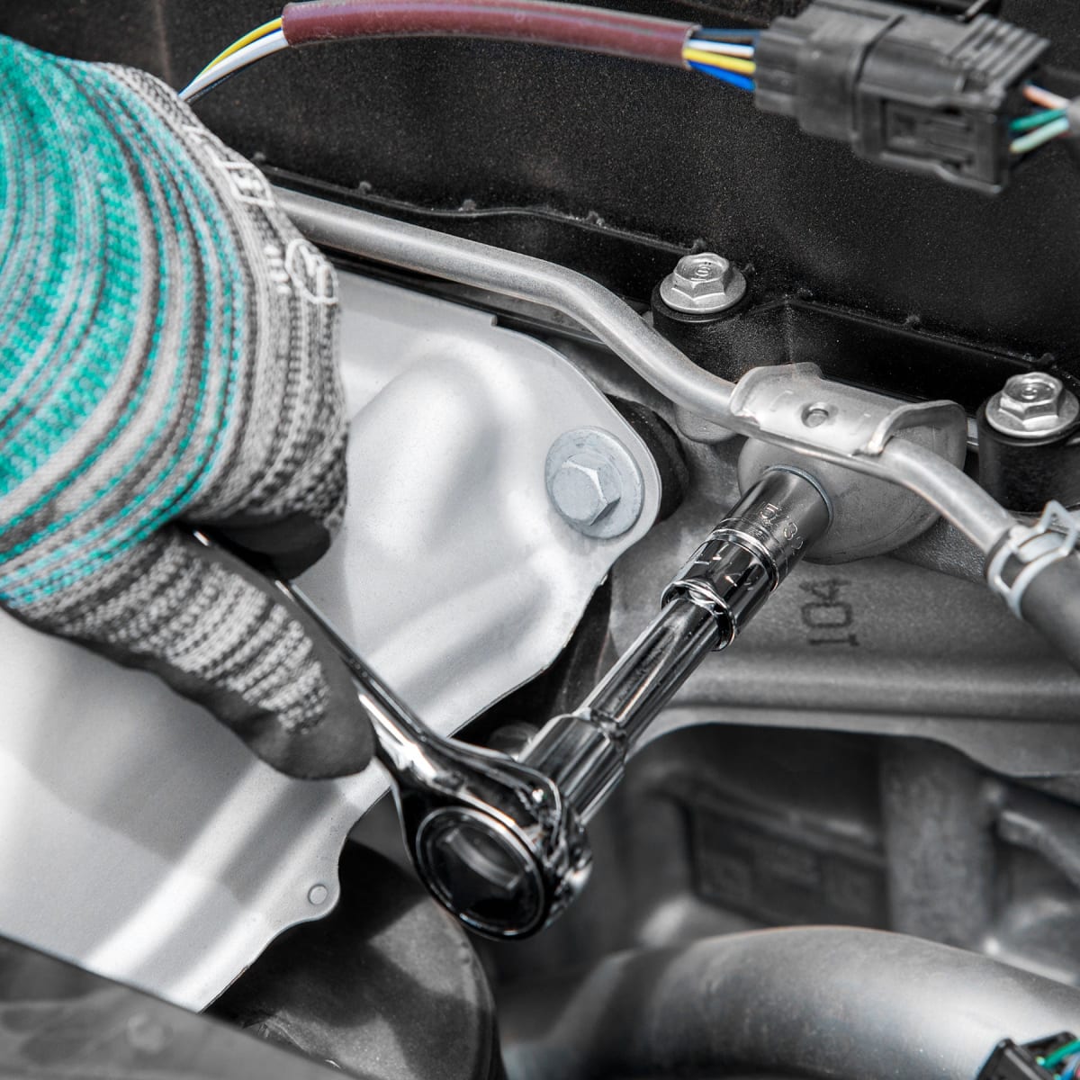 Gata tipo Lagarto 2t +Cama de Plastico 40