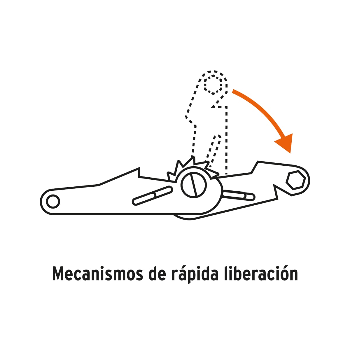 Juego de 4 sujetadores con ratchet carga máxima 1000 kg Truper3