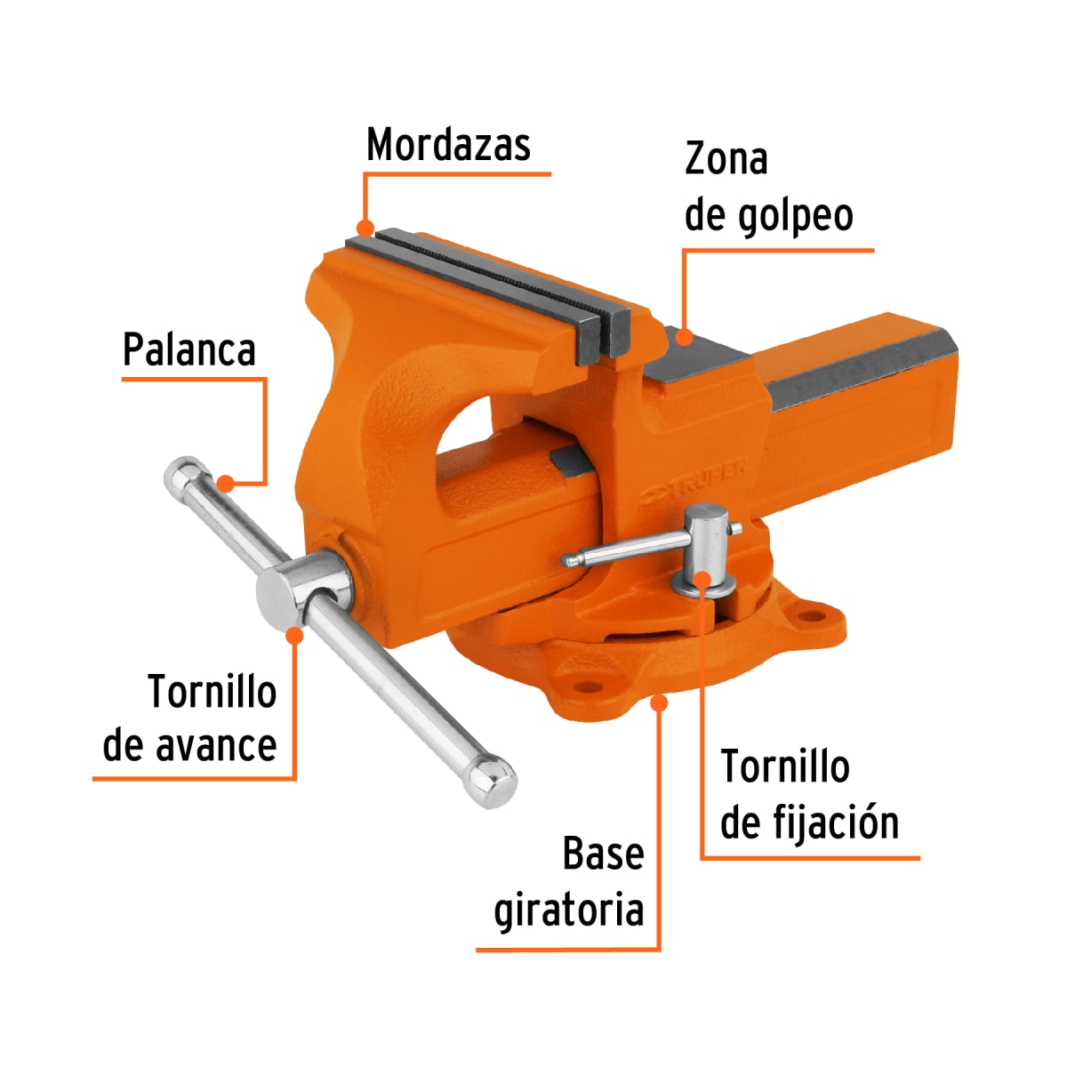 Tornillo de Banco Tipo Europeo 5