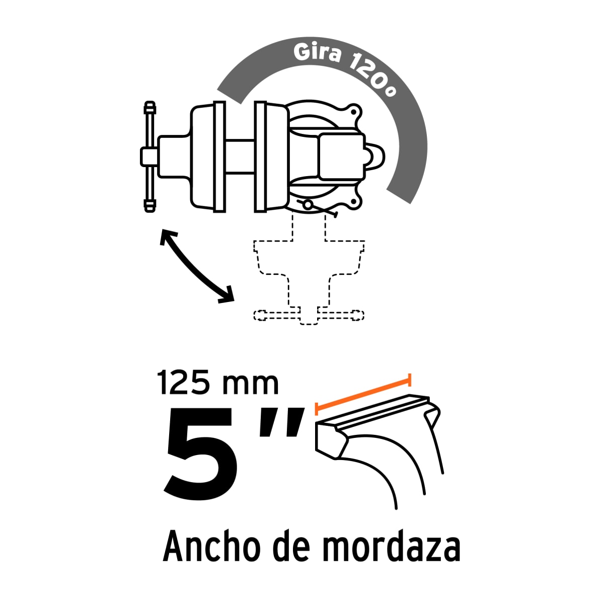 Tornillo de Banco Tipo Europeo 5