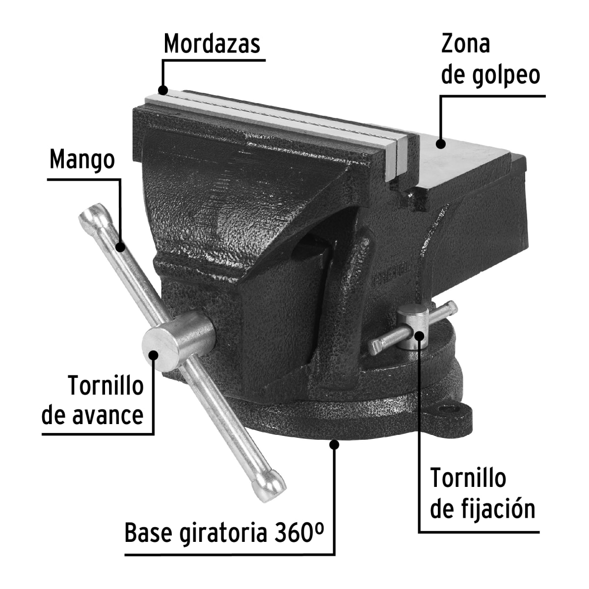 Tornillo de Banco 6