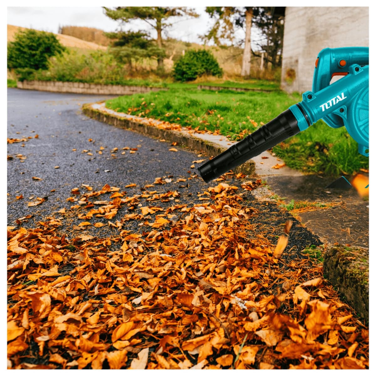 Hidrolavadora a Gasolina Truper +Sopladora 650w Total6