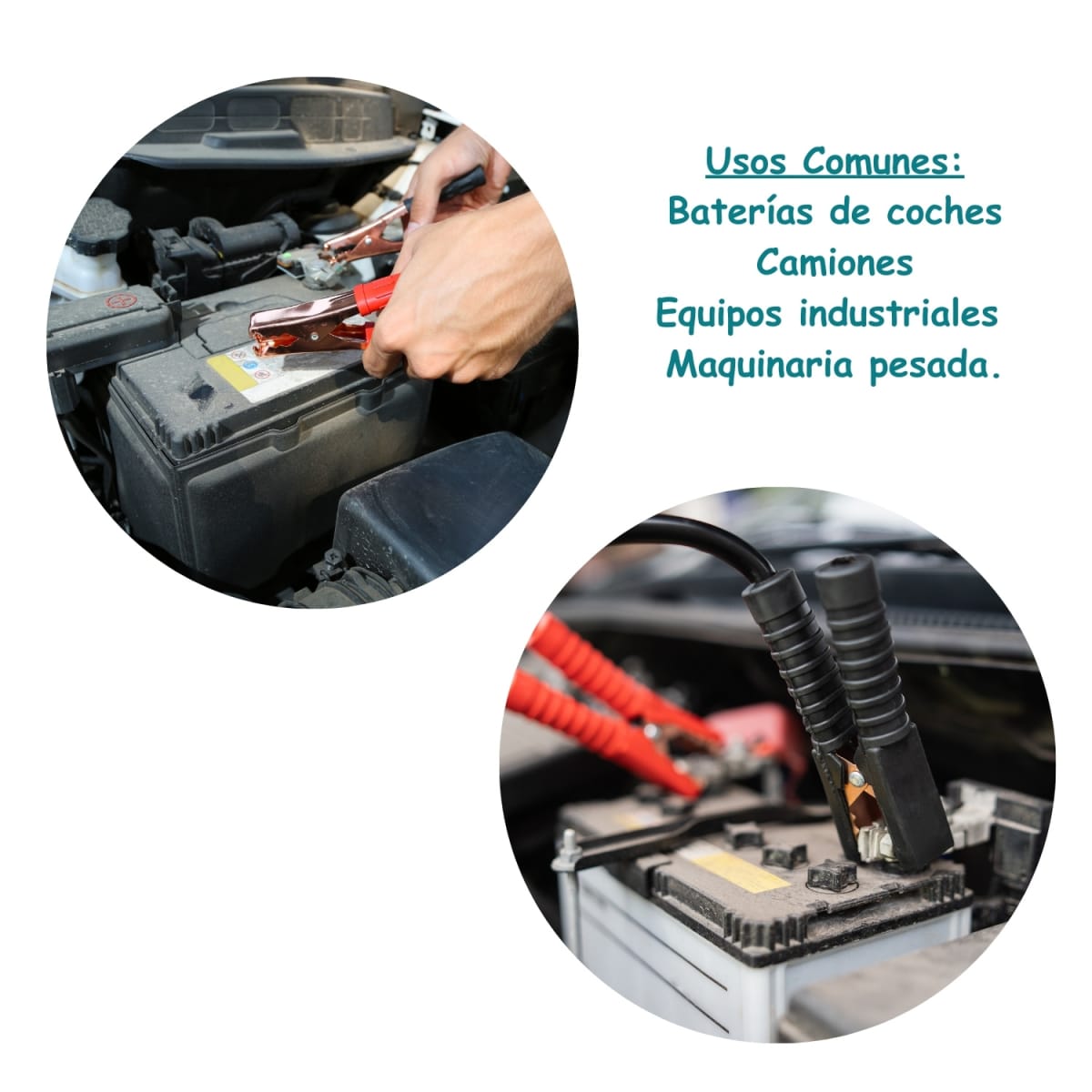 Cargador de bateria 300A industrial Total5