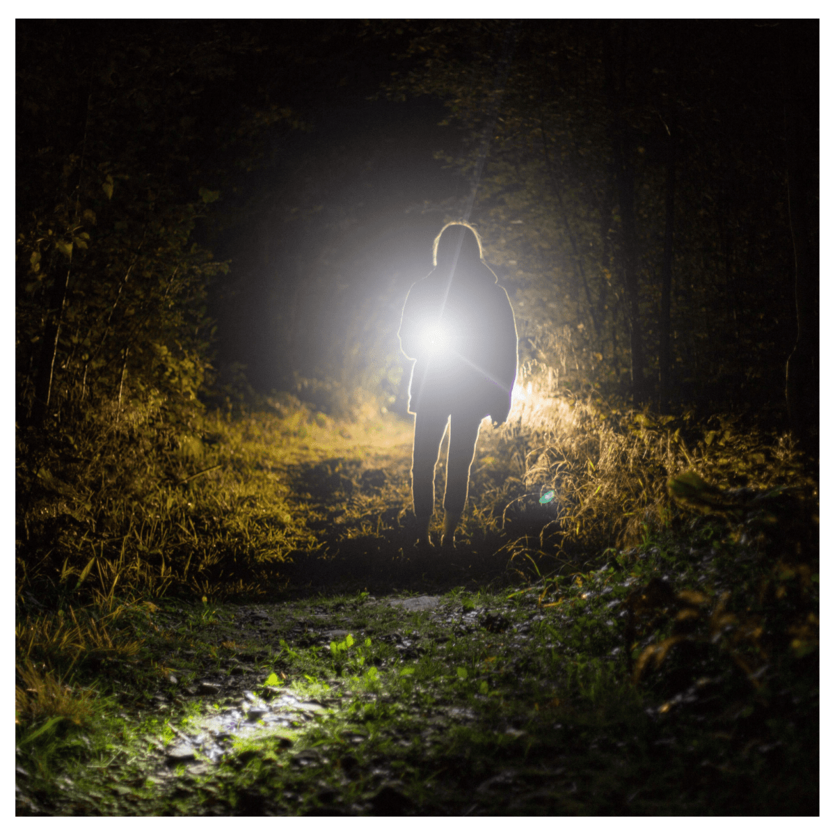 Linterna de mano de aluminio 450 lm Total5