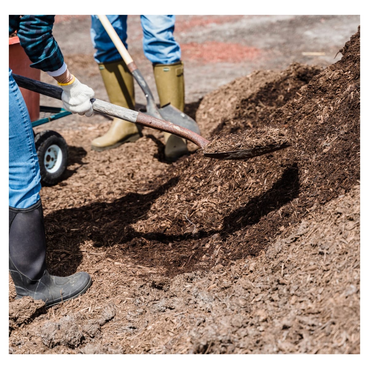 Pala Tipo Cuchara con mango de Madera TOTAL4