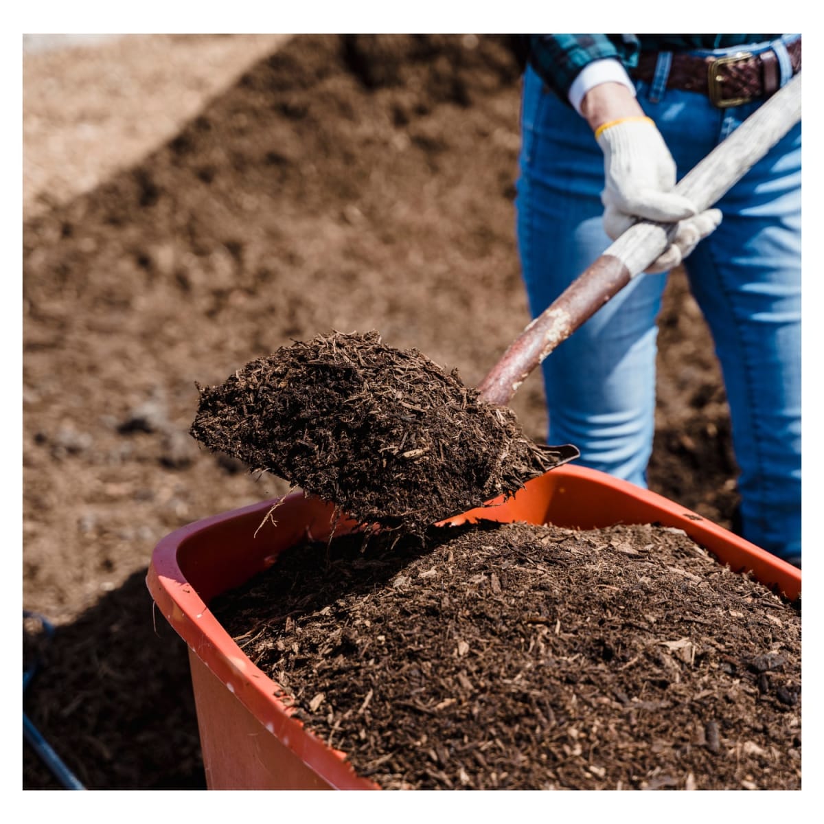 Pala Tipo Cuchara con mango de Madera TOTAL5
