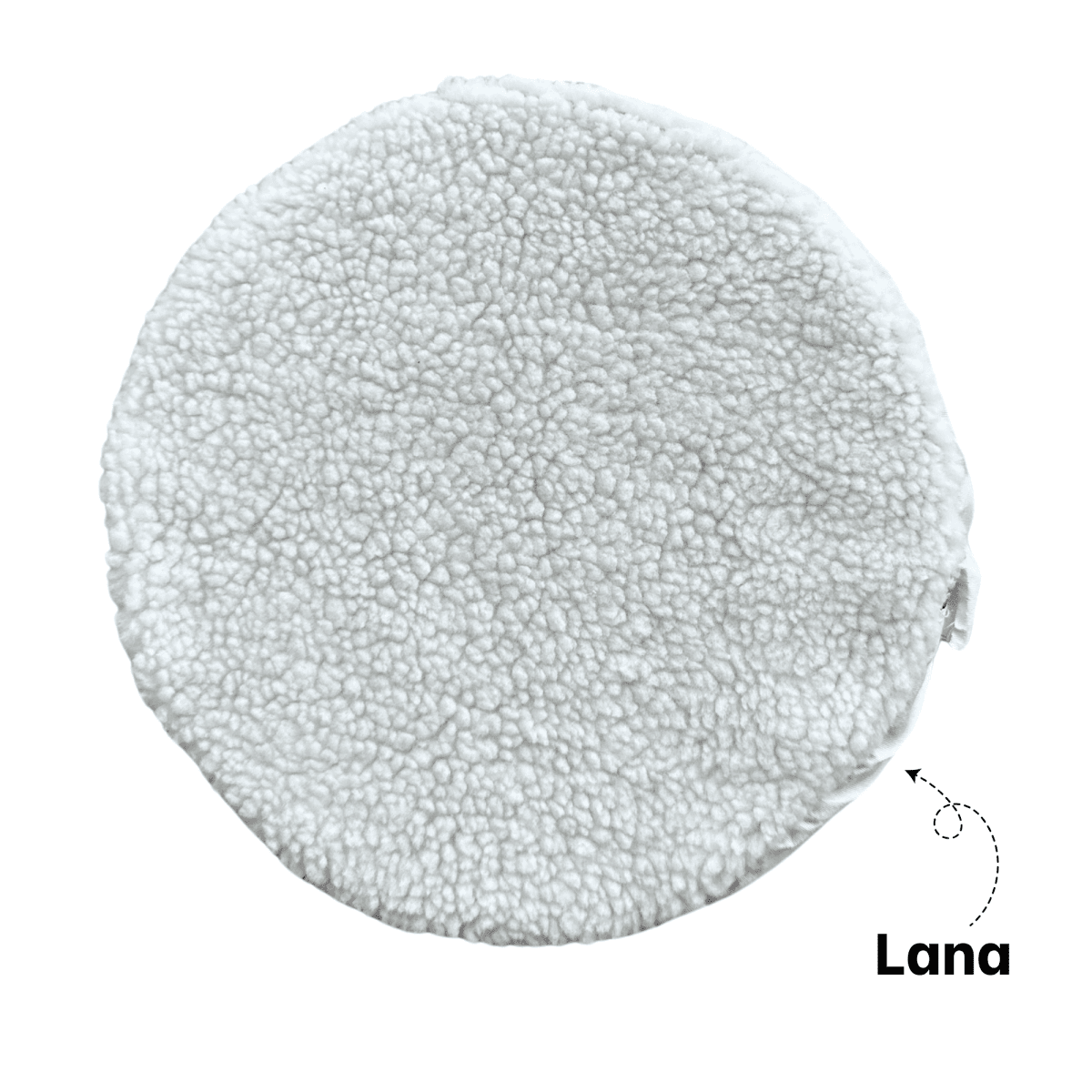 Pulidora orbital para auto 20v Total3