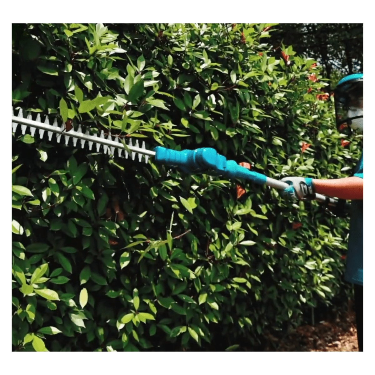 Desmalezadora para cortar ramas + cortasetos inalámbrico 20v total6