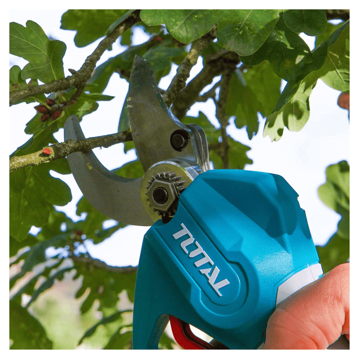 Tijera de podar inalambrico 25 mm + bateria 2ah y cargador Total6