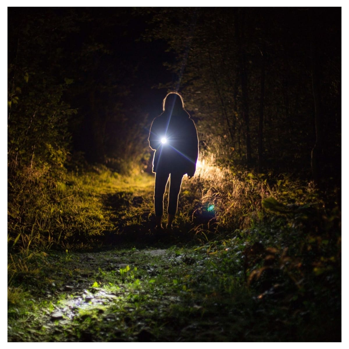 Linterna LED 5w inalámbrica 20v Total6