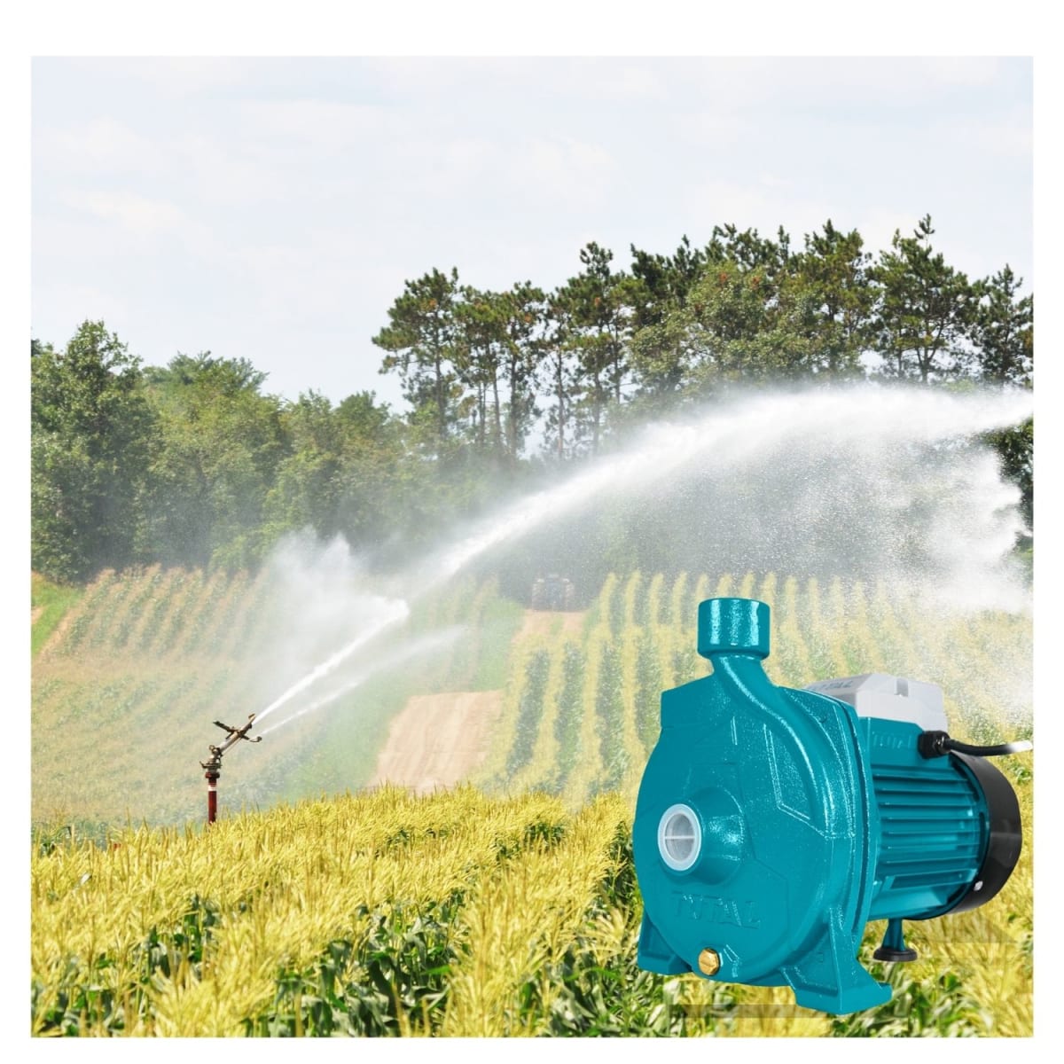 Bomba de agua centrifuga 750w 1HP Total3