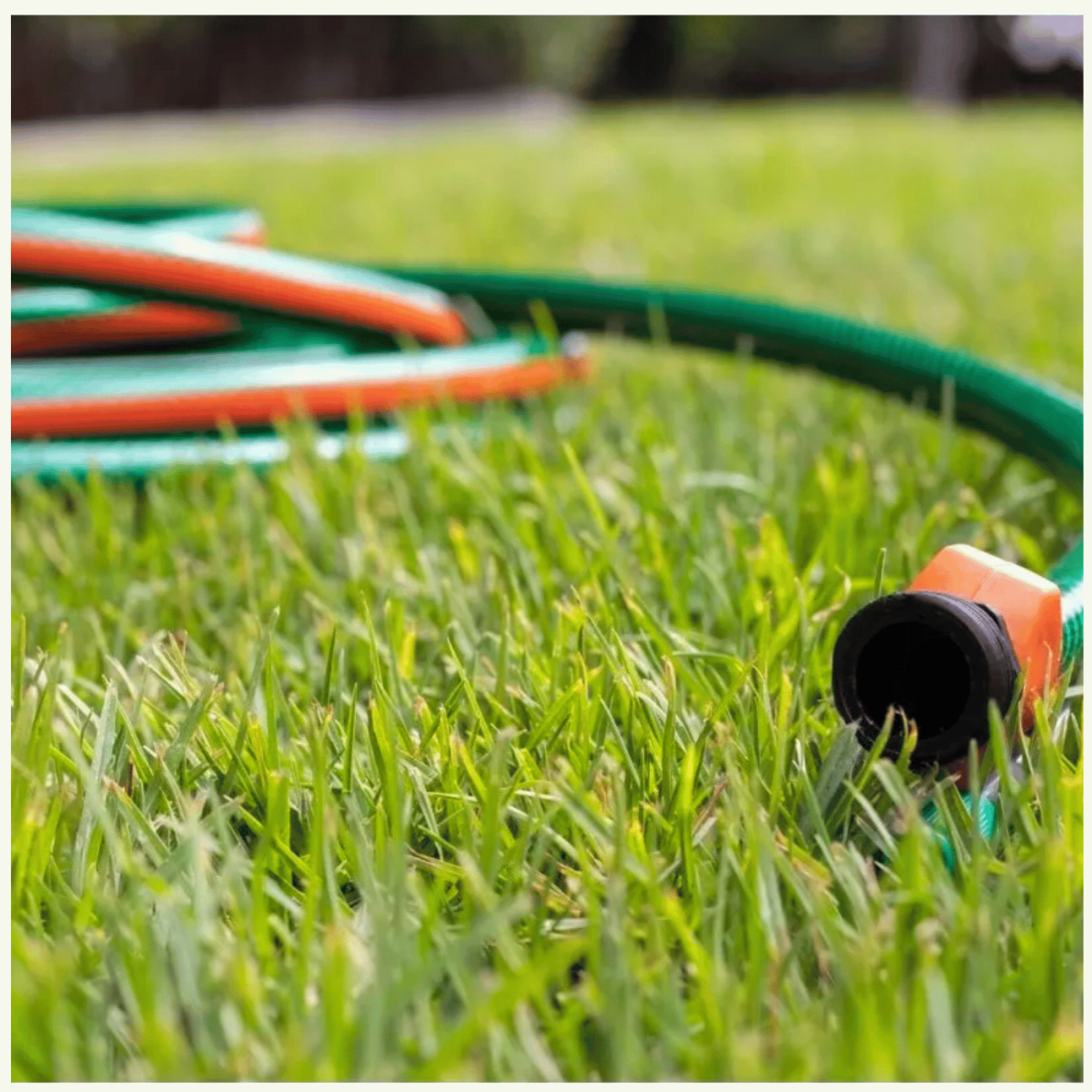 Hidrolavadora Electrica 1800PSI + Manguera 1/2