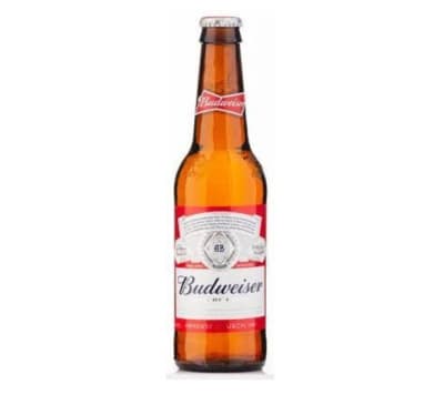 BUDWEISER BOTELLIN x241