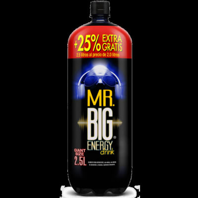 MISTER BIG 2.51