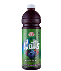 NECTAR WATTS ARANDANO x6