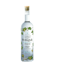 PISCO WAQAR