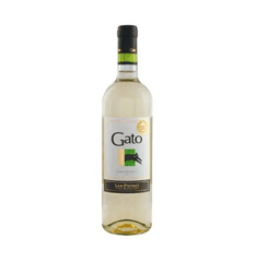 Gato Blanco